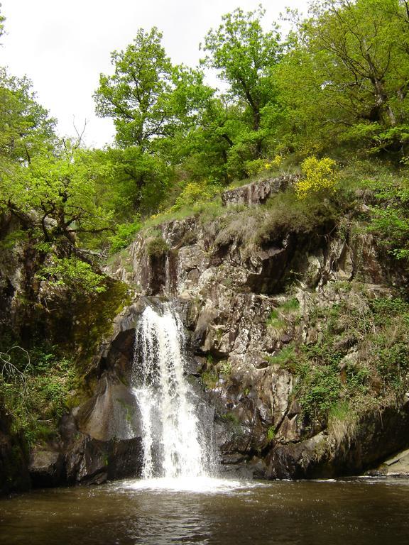 Aux 2 Puys - Gite "Le Lemptegy" Saint-Priest-des-Champs エクステリア 写真